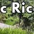 Exploring Bali S Scenic Rice Fields UNESCO World Heritage Rice Terrace On An E Bike Adventure