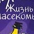 Жизнь насеко мых второй роман Виктора Пелевина 1993 год