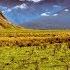 Trip From Wanaka To Rob Roy Glacier Track In Mt Aspiring National Park