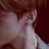 ANIMAL Taehyung V BTS WINGS Stigma