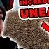 Incredible Discovery Unearthed Wow Metal Detecting UK I Minelab Manticore I UK History Finders