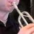 Statues From Harry Potter And The Deathly Hallows Part 2 Trumpet Cover