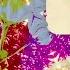 Calvin Harris By Your Side SIDEPIECE Remix Audio Ft Tom Grennan