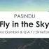 PASINDU Fly In The Sky Maximo Gambini Q A T Remix