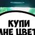 ЖДАЛА МАЖОРА А ПРИЕХАЛ АЛЬФОНС ЧСВ В ШОКЕ Ars FloYd