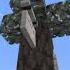 Новые блоки из 1 21 72 Minecraft New Block