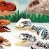 6 Tyrannosaurus VS 6 Indominus Jurassic World Dinosaurs Toys For Kids