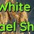 Angel In White Unaware By Michael Shynes Song With Lyrics