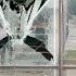 BREAKING TEMPERED GLASS WINDOWS Watch How Satisfying It Is To Break Tempered Glass