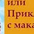 гл 19 Путь Кассандры или Приключения с макаронами Юлия Вознесенская аудиокнига