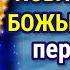 Сегодня перед сном обязательно благодари Пресвятую Богородицу за счастливо прожитый день