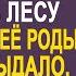 Спасая беременную волчицу в лесу Вера не ожидала как хищница её отблагодарит шокируя деревню