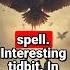 Top 5 Iconic Birds In Fairytales You Need To Know About FairytaleBirds IconicBirds Folklore