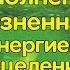 17 аркан Наполнение жизненной энергией исцеление Ассоциация Эмбер