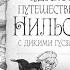 Чудесное путешествие Нильса с дикими гусями Часть 1