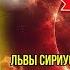 ЛЬВЫ СИРИУСА РАСКРЫВАЮТ ПРАВДУ 2025 ГОД ПОВОРОТНЫЙ МОМЕНТ ДЛЯ ЧЕЛОВЕЧЕСТВА