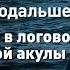 Держитесь подальше Возвращение в логово большой белой акулы Discovery