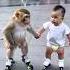 The Little Monkey Is Having So Much Fun Playing With Baby Baby Monkey Shorts