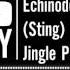 Echinoderm Regeneration Sting Jingle Punks Music For Intros