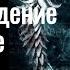 Эрих Нойманн Происхождение и развитие сознания Часть 1