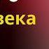 5 ПРИЗНАКОВ ТОГО ЧТО ВЫ ИМЕЕТЕ ДЕЛО С ПЛОХИМ ЧЕЛОВЕКОМ СТОИЦИЗМ СТОИЦИЗМ СТОИЧЕСКАЯФИЛОСОФИЯ