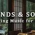 Soft Piano Music With The Sound Of Falling Rain Helps Relieve Stress Relaxing Music For Sleep