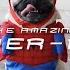 SPIDER PUG Doug The Pug
