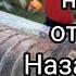 Простая разделка сома на стейки ТЕСТИРУЕМ НОЖИ Овод и Тяпка от Кузницы Назарова В В