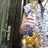 Notre Dame De Paris Belle Alto Sax