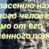 Государства Востока традиционное общество в эпоху раннего Нового времени