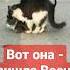 Вот она пришла Весна