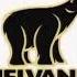 Nelvana Logo Effects 1 The Safe Era