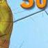 Larva Season 2 Starting Song