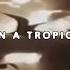 UICIDEBOY PARALYZED IN A TROPICAL PARADISE LYRIC VIDEO