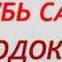 К чему ГОЛУБЬ САДИТСЯ на подоконник Народные приметы и поверья