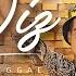 Diz You Say Versão Reggae Guilherme Camargo
