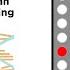 Gene Expression Analysis And DNA Microarray Assays