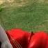 Bernard Bear 152 Paragliding