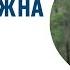 Зачем НУЖНА семья Ирина Ильина
