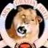 Metro Goldwyn Mayer Logo 1957 With The 1995 Roaring Sound