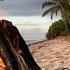 4K 4 Hr Campfire Ambience On A Palm Lined Tanzanian Beach At Sunrise Relaxed Fire Nature Sounds