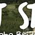 Phoebe Bridgers Scott Street Lyrics