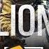 Lion Drone Sound Effect New