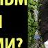 Эр хотин биргаликда беҳаё филм кўриши мумкинми