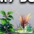The Sims 4 But Every Room Is A Different PLANT