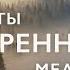 Утренняя медитация 3 минуты на успех поток и благодарность Экспресс медитация для начинающих