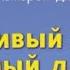 Счастливый карман полный денег Дэвид Кэмерон Джиканди Формирование сознания изобилия АУДИОКНИГА