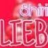 Shirin David Lieben Wir English Translation