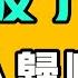 上海反了 台灣人歸順 台灣人為什麼要替中共顛倒黑白 卡戴珊 特朗普在中國全部慘遭逮捕 提神醒腦101 七七叭叭TALK