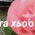 Сунам хаза хета хьо